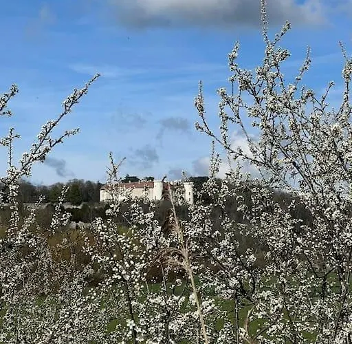 Maison Ray Sur Saone