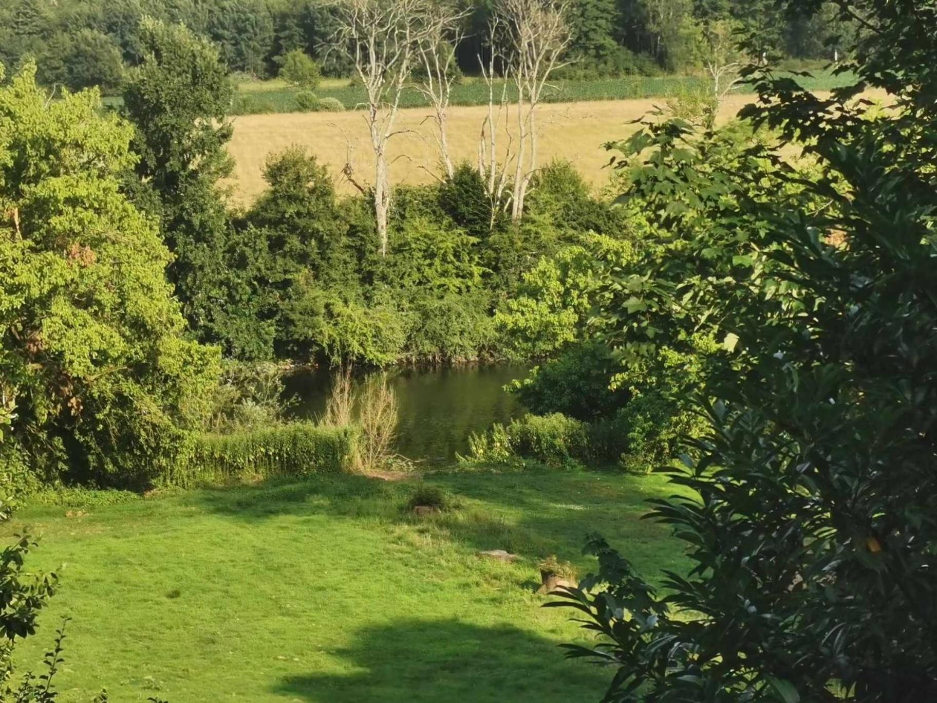 Ferienhaus Le Gite De Marie Ray Sur Saone